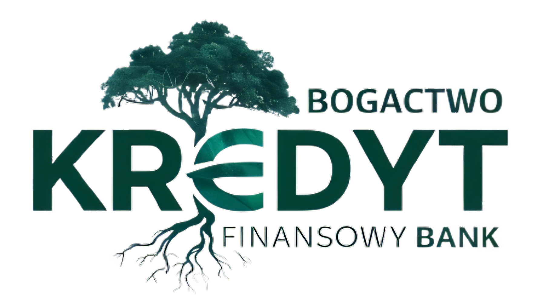 Bogactwo Kredyt Finansowy Bank logo